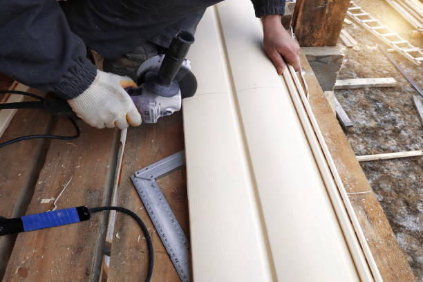 Best Insulated Siding Installation  in Narrows, VA